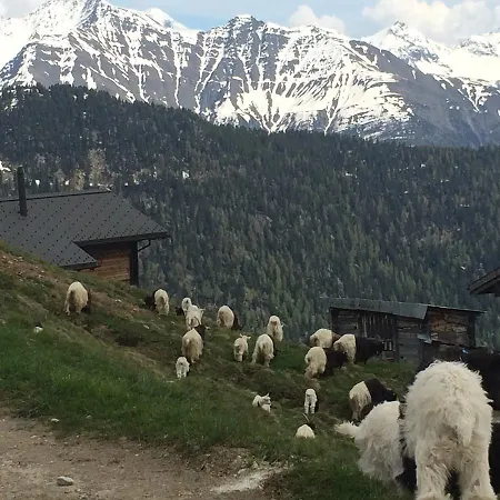 Chalet Anouk * Blatten bei Naters